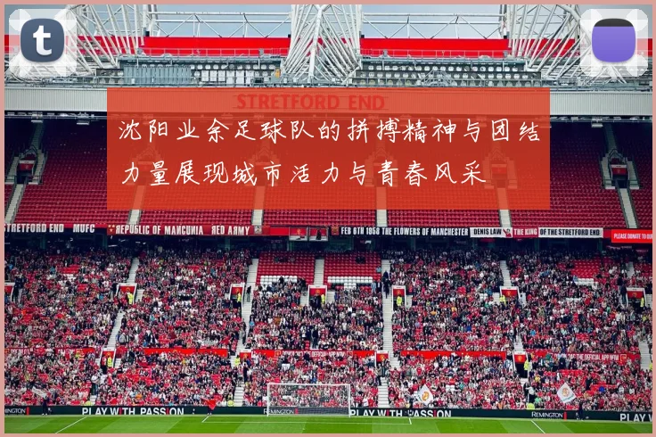 沈阳业余足球队的拼搏精神与团结力量展现城市活力与青春风采