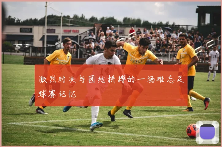激烈对决与团结拼搏的一场难忘足球赛记忆