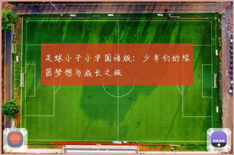 足球小子小学国语版：少年们的绿茵梦想与成长之旅